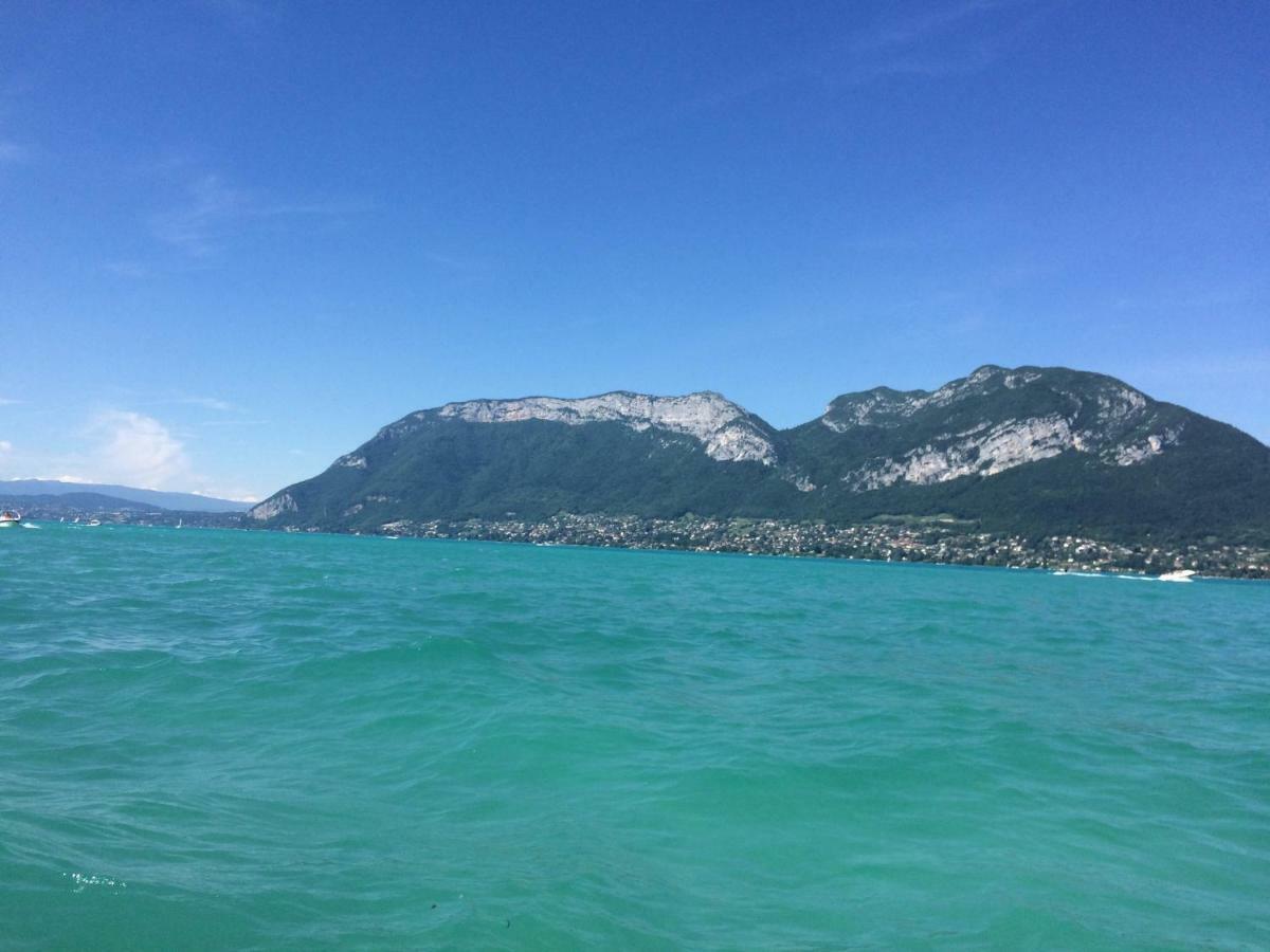 La Baie Des Voiles ,Vue Lac D'Annecy ,Plage Privee Дюэн Экстерьер фото