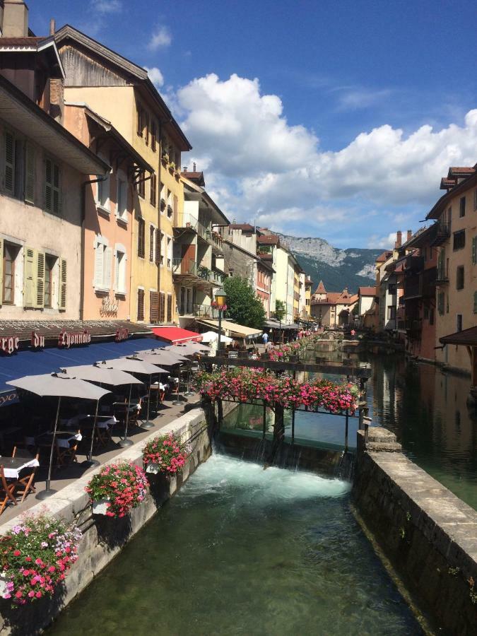 La Baie Des Voiles ,Vue Lac D'Annecy ,Plage Privee Дюэн Экстерьер фото